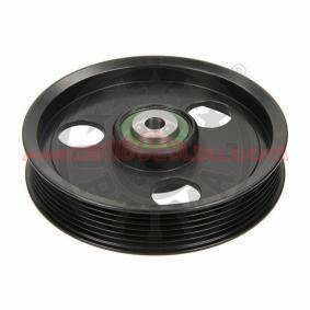 Renault Kangoo Alternatör Gergi Rulmanı 8200170009