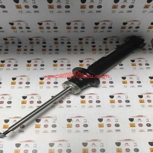 5202.PA Ön Amortisör 407-C4