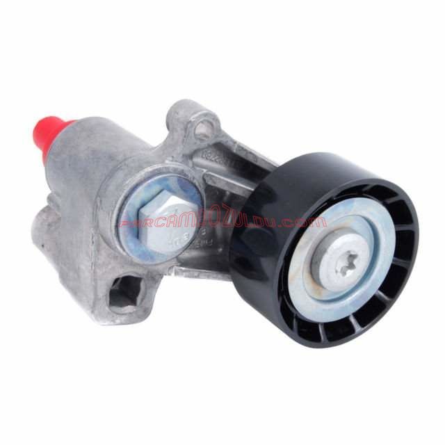 Citroen Xsara Alternatör Gergi Rulmanı ( Ayaklı - Hidrolik Direksiyon) 5751.30